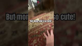 Crawling Trend Lmao