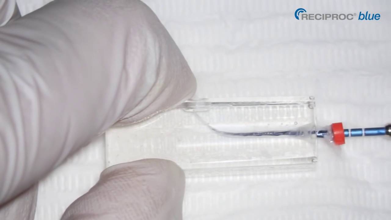 VDW - RECIPROC blue, opracowanie kanału korzeniowego na bloczku treningowym