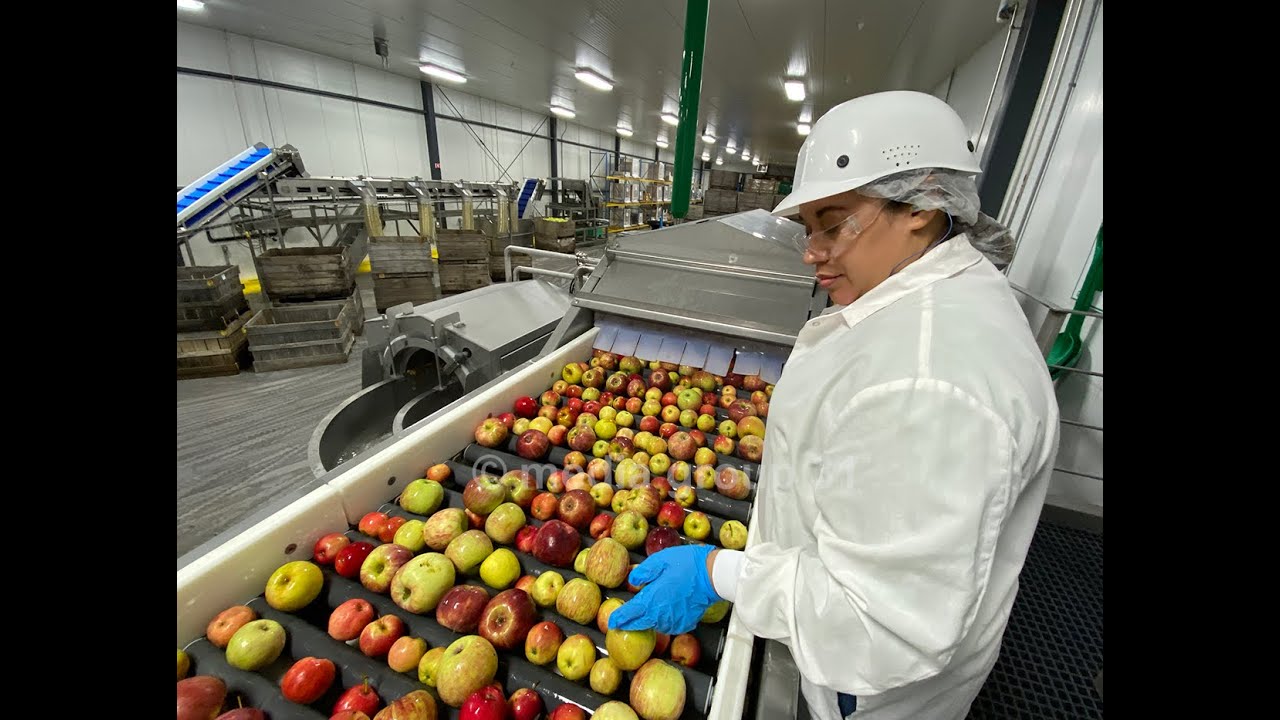 The Land Making applesauce at Peterson Farms, Inc. YouTube