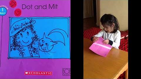 Bob Books - Collection 1 - Book 5 - DOT AND MIT