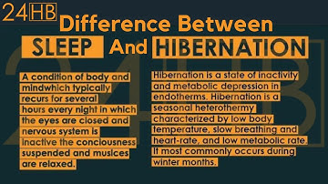Difference Between Sleep And Hibernation