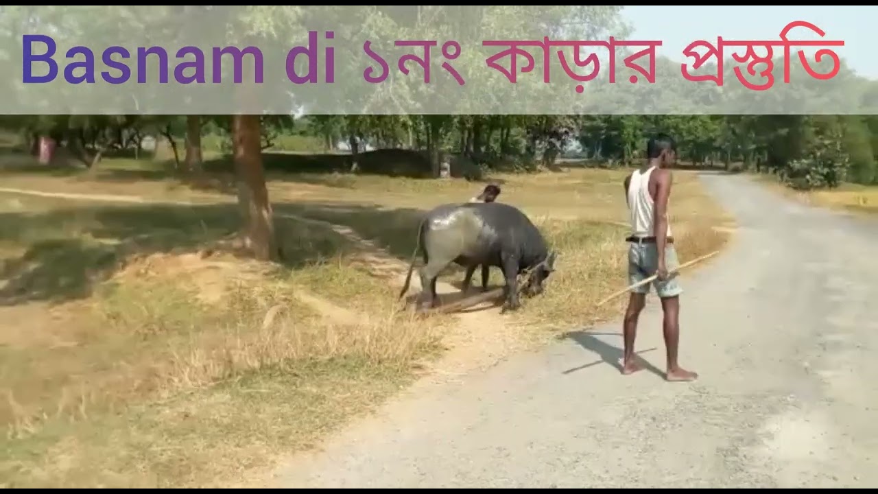 Basnam di ১নং কাড়ার প্রস্তুতি দেখুন