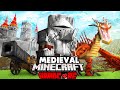 I Survived 100 Days in MEDIEVAL Minecraft Hardcore!