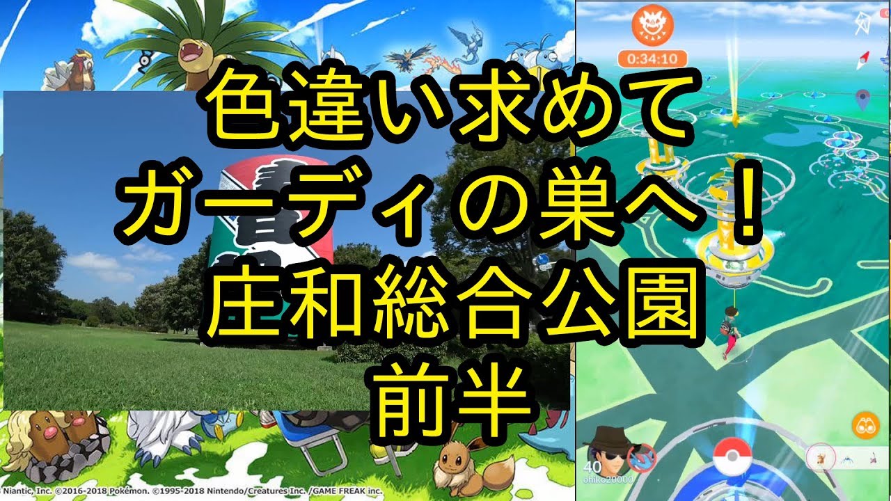 ポケモンｇｏ 色違い求めてガーディの巣の庄和総合公園へ 前半 Youtube