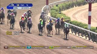 Vidéo de la course PMU PREMIO ULTRAREY