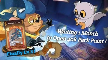Tom and Jerry Chase (S2) - Open 40k Perk Points after Waiting 1 Month !