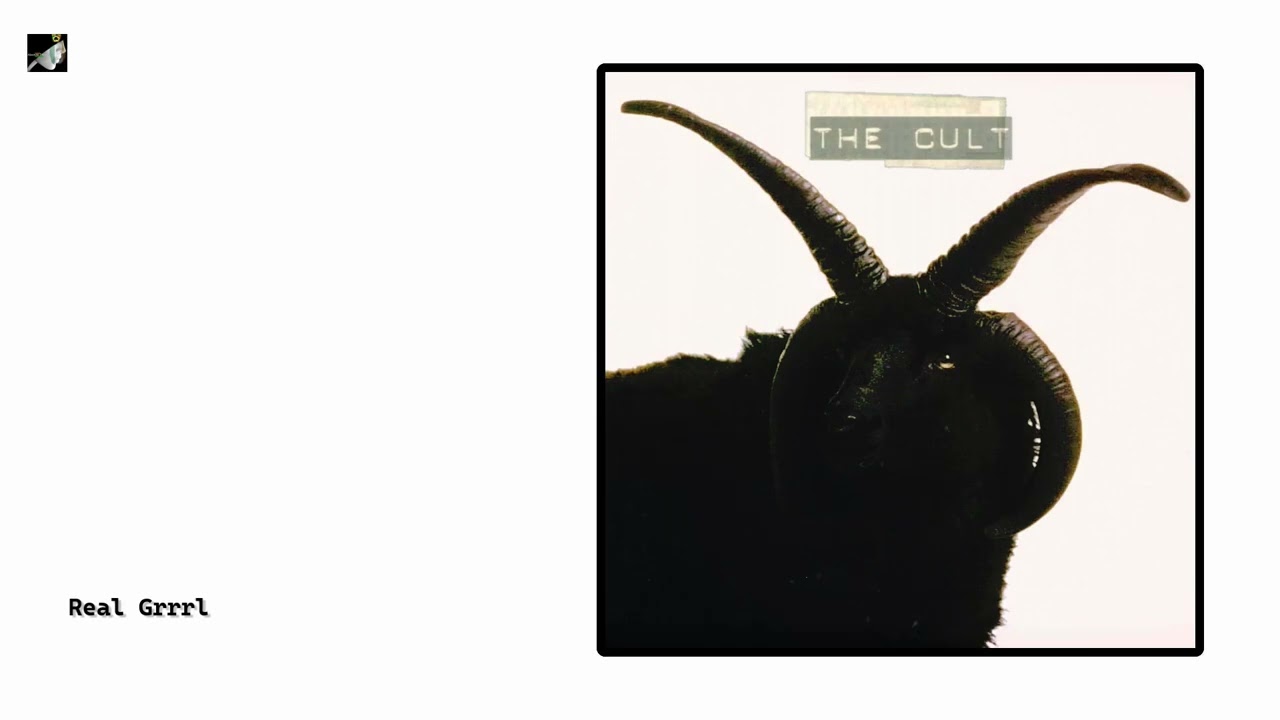 Real Grrrl by The Cult - YouTube