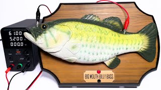 If High Voltage is Applied to the 'Big Mouth Billy Bass'