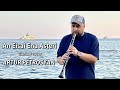 Artur Petrosyan - An eisai ena asteri (Clarinet cover)