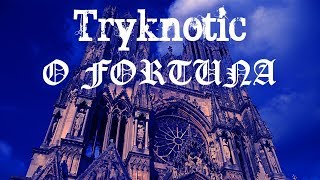 Tryknotic - O Fortuna Remix (Carmina Burana)