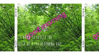 Clact....... Pictures