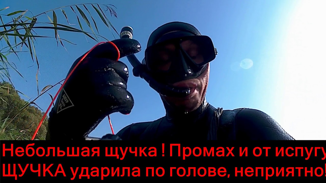 ПОДВОДНАЯ ОХОТА С ОБАЛДЕННЫМ ПРОЗРАКОМ НА ЩУКУ,ЛИНЯ,ЛЕЩА(БЕЛОЕ ОЗЕРО ...