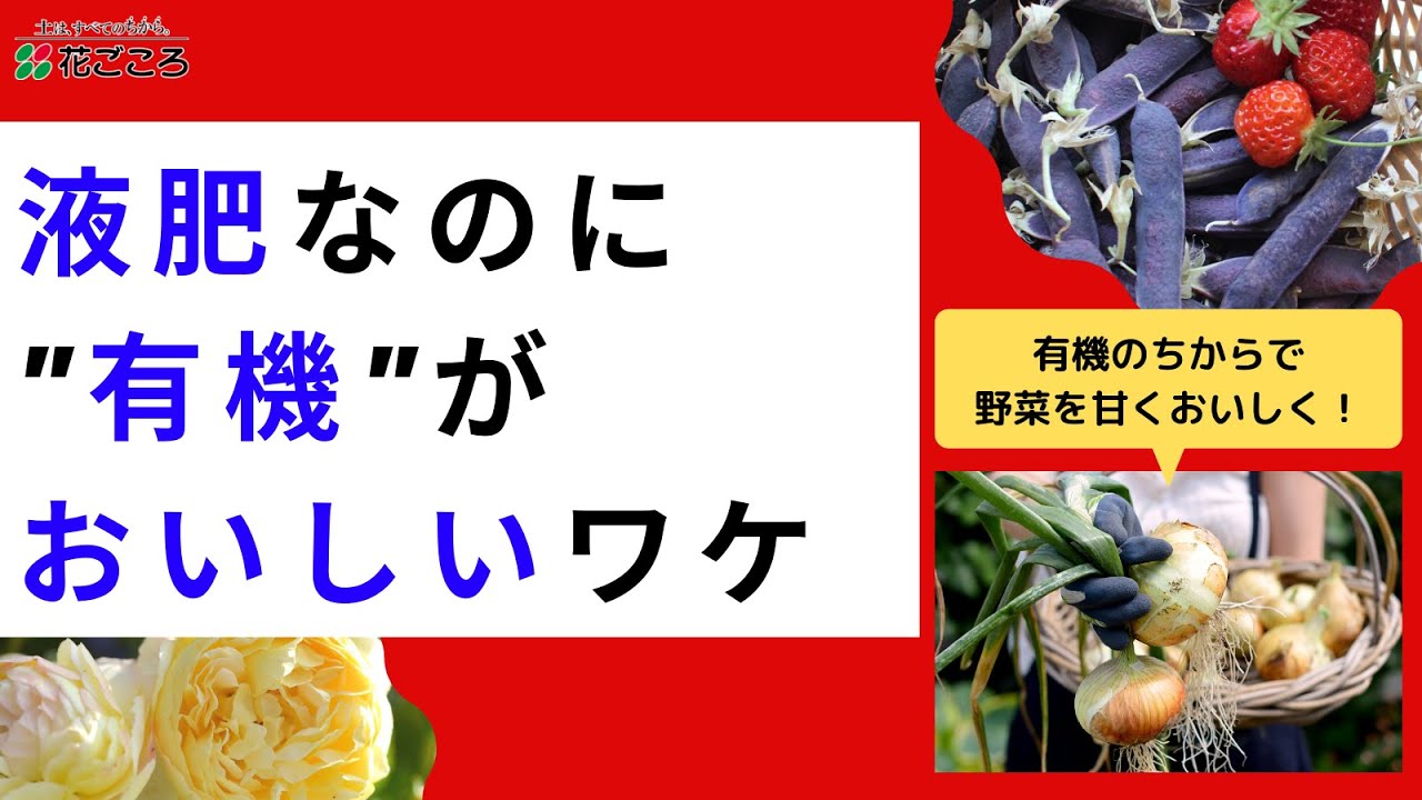 新発売 有機プラス液肥 の魅力 お知らせ プレスリリース 花ごころ
