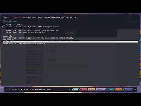 Understanding the Technology Behind Backdoors with Weevely
