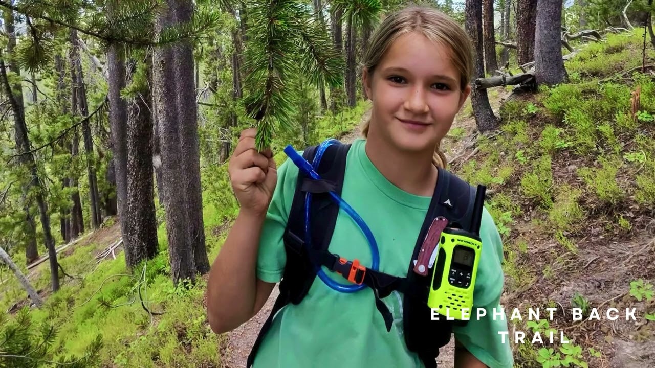 July 10, 2025 - YNP Road Trip (Elephant Back Trail - Yellowstone River - Hayden Valley)