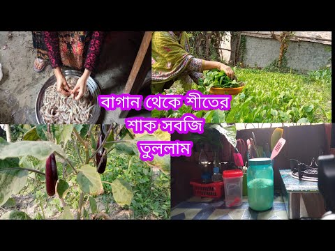 মেহমান যাওয়ার পর দিন কি কি রান্না করলাম। বাগান থেকে শীতের শাক তুললাম।😍😍