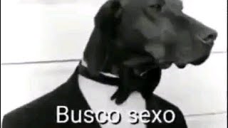 Shitposting Compilation V20