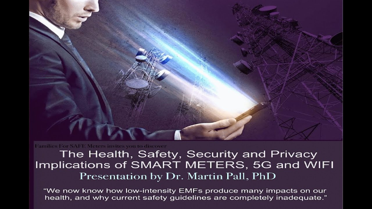 Dr Martin Pall live broadcast announcement EMF 5G Wireless Danger