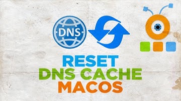 How to Reset DNS Cache in macOS
