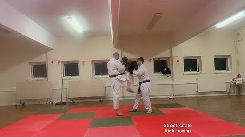 BROWN BELT 1 STRIPE 3rd Kyu PAD & BAG DRILLS  (STREET KARATE)