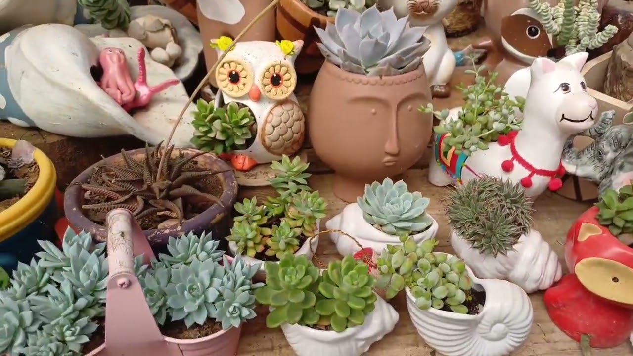 Uma mesa gigante pra minha estufa! Plantas lindas!