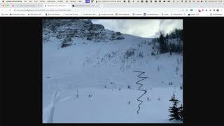 Edit Submitted Observations and Photo Overlays