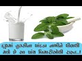 Ayurvedic Therapy In Gujarati (આયુર્વેદિક ઉપચાર)