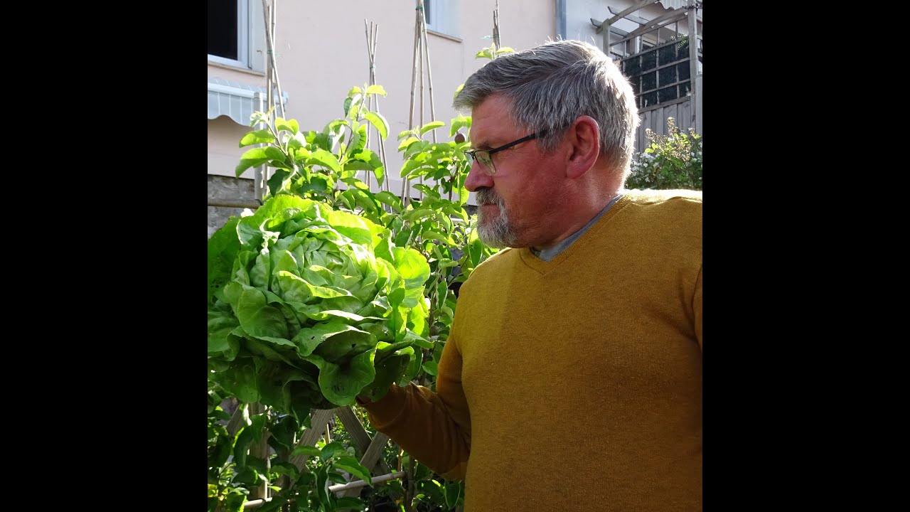 Et mes tomates alors ? Des conseils pour entretenir son jardin tout en  économisant l'eau dans le Puy-de-Dôme - Clermont-Ferrand (63000)