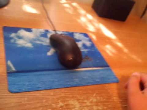 Rewiew Mouse-PAD. camera iphone 8 plus apk
