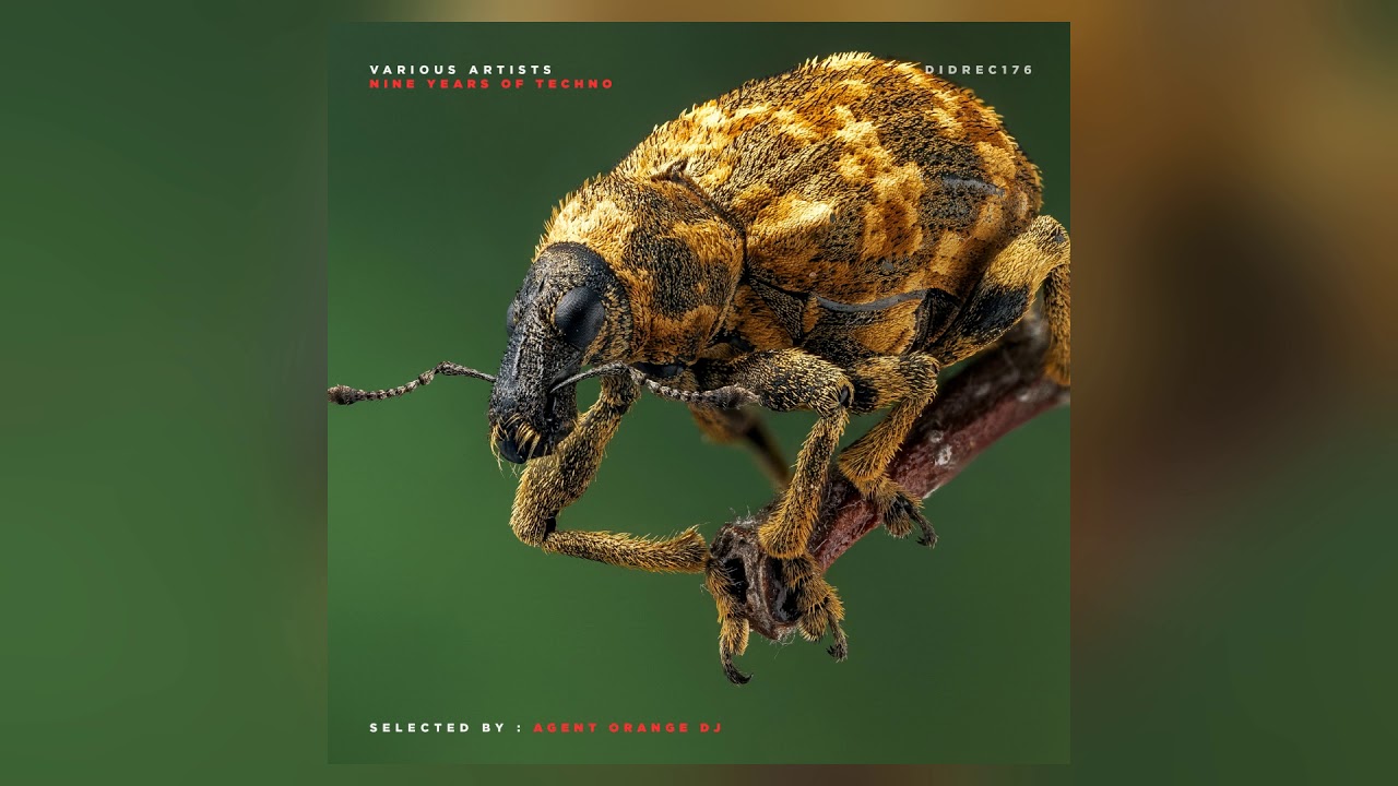 Scouts In Bondage - Forever Fusion (D.A.V.E The Drummer Remix) [DIDREC - Techno]