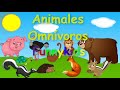 Animales Omnívoros