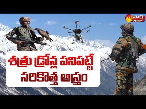 Indian Army New Weapon Against Enemy Drone | Eagles are Being Trained to Take Down Drones #sakshitv - SAKSHITV