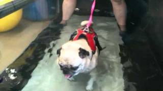 IMG_0336 2.WMV