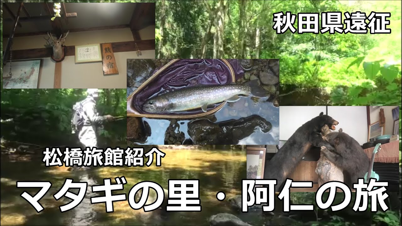 マタギの里・阿仁の旅  /  ｲﾜﾅ34･31･30㎝  ～秋田の渓流～  / みちのく釣りの旅  ﾌﾗｲﾌｨｯｼﾝｸﾞ渓流釣り(4K) fly fishing