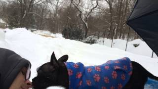 Episode 4: Conversations with Bill Clinton - The Winter Edition