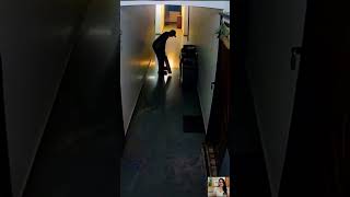utcachd A Blinkit partner, a cricket bat, and a silent kiss before heading out#love #viral #shorts