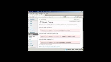 Wordpress Tutorial: How To Upgrade or Delete Wordpress Plugins Automatically