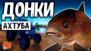 🔴 РР4/ рыбалка для души, ловим как универсал, общаемся 27.01.2025