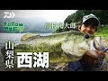 DAIWA×Bottomup 川村光大郎 Follow my F!! 【山梨県 西湖・河口湖】｜Ultimate BASS by DAIWA Vol.326