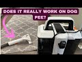 Portable Carpet Cleaner Review: Best Deep Stain Remover For Pets, Cars, And Furniture