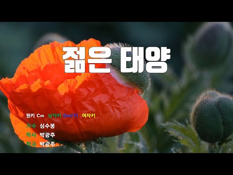 [은성 반주기] 젊은태양 - 심수봉