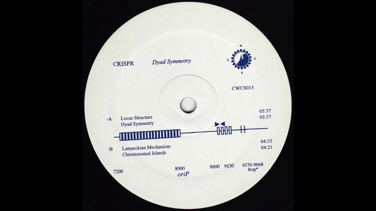 CRISPR - Locus Structure adlı videoyu YouTube'da izle CRISPR - Locus Structure adlı videoyu YouTube'da izle