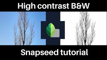 Snapseed tutorial | High contrast black and white |Android & iPhone