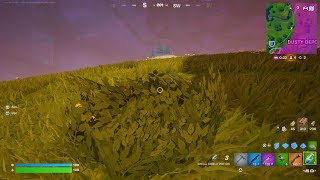 Fortnite20250604004315