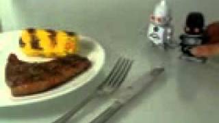 SaltandPepperBots wmv   YouTubeSnips