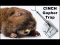 How To Catch Gophers With the Cinch Trap. Mousetrap Monday