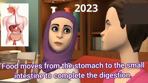 الجهاز الهضمي كونكت 4 انجليزي رابعة ابتدائي 2023  الوحدة الاولي الدرس الثاني الجزء الاول connect