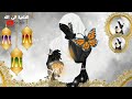رمضان اقبل بعد طول غياب اجمل اناشيد عن رمضان بدون موسيقى حالات وتس أب رمضانية 
