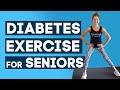 Diabetes Exercises for Seniors Full Body Workout at Home