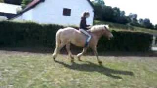 Retarted idiot riding retarted horse bareback =3